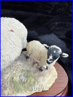 Border Fine Arts Wrong Side of the Fence Limited Edition sheep Figurine