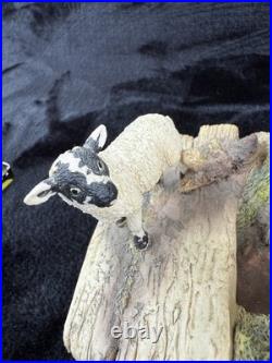 Border Fine Arts Wrong Side of the Fence Limited Edition sheep Figurine