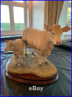Border Fine Arts'charolais Cow And Calf' Very Rare, Fantastic Condition