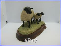 Border Fine Arts figure Suffolk Sheep Ewe and Lambs L87