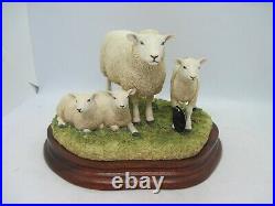 Border Fine Arts sheep figure Lleyn Ewe and Lambs B0975