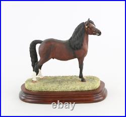 Border Fine Arts'welsh Mountain Pony' Signed Figure Model B0534b 1103/1250 Coa