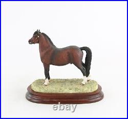 Border Fine Arts'welsh Mountain Pony' Signed Figure Model B0534b 1103/1250 Coa