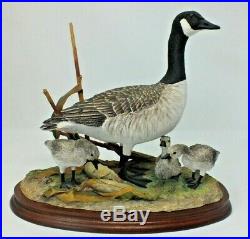 Border Fine Canada Goose and Goslings Limited Edition 147/500 (B0882) J Crewdson