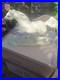 Border-Fine-arts-Arab-Stallion-Trotting-Anne-Wall-Ltd-01-dca