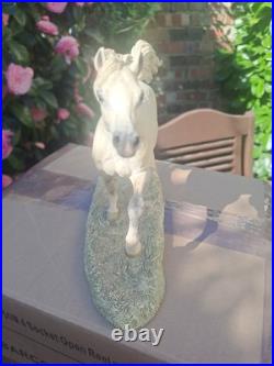 Border Fine arts Arab Stallion Trotting Anne Wall Ltd Border Fine arts Arab Stallion Trotting Anne Wall Ltd