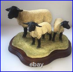 Border Fine arts B0778 Suffolk Ewe and Lambs LTD 196/1250 New Boxed Very Rare