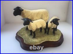 Border Fine arts B0778 Suffolk Ewe and Lambs LTD 196/1250 New Boxed Very Rare