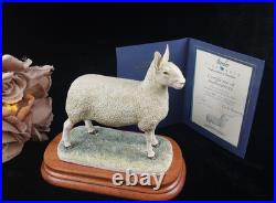 Border Leicester Tup Border Fine Arts Livestock Sheep With Certificate