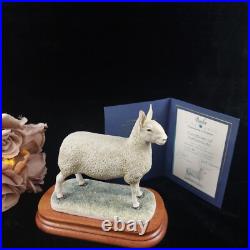 Border Leicester Tup Border Fine Arts Livestock Sheep With Certificate