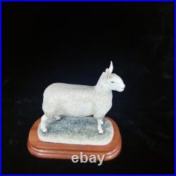 Border Leicester Tup Border Fine Arts Livestock Sheep With Certificate