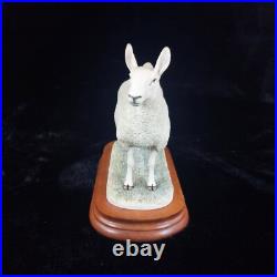 Border Leicester Tup Border Fine Arts Livestock Sheep With Certificate
