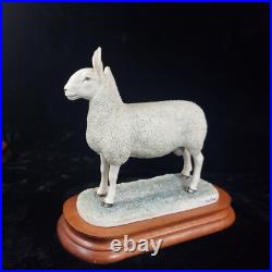 Border Leicester Tup Border Fine Arts Livestock Sheep With Certificate