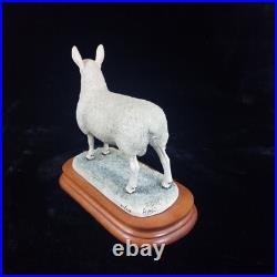 Border Leicester Tup Border Fine Arts Livestock Sheep With Certificate