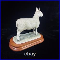 Border Leicester Tup Border Fine Arts Livestock Sheep With Certificate