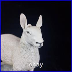 Border Leicester Tup Border Fine Arts Livestock Sheep With Certificate