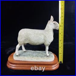 Border Leicester Tup Border Fine Arts Livestock Sheep With Certificate