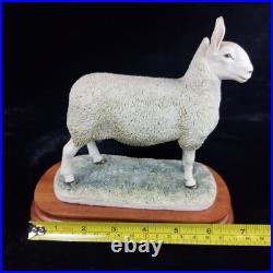 Border Leicester Tup Border Fine Arts Livestock Sheep With Certificate