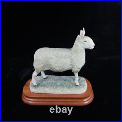 Border Leicester Tup Border Fine Arts Livestock Sheep With Certificate