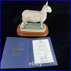 Border Leicester Tup Border Fine Arts Livestock Sheep With Certificate