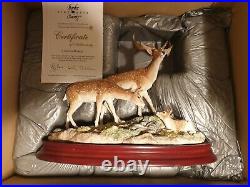 Border fine arts. A GENTLE. MOMENT. Deer Family LAST MEMBERS PIECE MADE