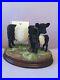 Border-fine-arts-BELTED-GALLOWAY-COW-and-CALF-Brand-New-01-ezvc