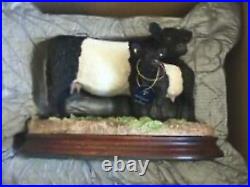 Border fine arts BELTED GALLOWAY COW and CALF Brand New