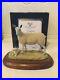 Border-fine-arts-BLUEFACED-LEICESTER-EWE-and-LAMBS-Boxed-01-ymd