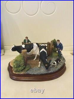 Border fine arts BRINGING IN. Holstein Friesian Dairy cows and Border Collie