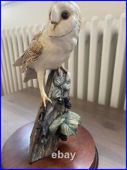 Border fine arts Barn Owl RB15 1989 ray ayres wildlife birds white ornament