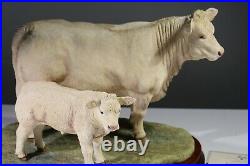 Border fine arts Charolais Cow And Calf B0742 Ltd Ed 641 /750. AA4