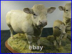 Border fine arts Charolais Family Group, Limited Edition Of 1,250 This Being 656