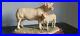 Border-fine-arts-Charolais-cow-and-calf-limited-edition-01-ropw