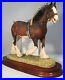Border-fine-arts-Clydesdale-Stallion-Horse-Victory-at-the-Highland-L149D-01-qq