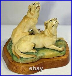 Border fine arts Dog Golden Labradors LE500 Hayton