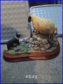 Border fine arts Holding her ground, Collie & sheep B0198 R Ayres, Ltd 2267/2500