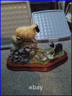 Border fine arts Holding her ground, Collie & sheep B0198 R Ayres, Ltd 2267/2500