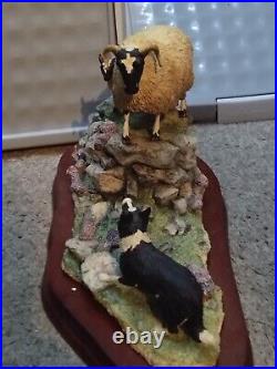 Border fine arts Holding her ground, Collie & sheep B0198 R Ayres, Ltd 2267/2500