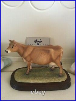Border fine arts JERSEY COW. Polled. Boxed