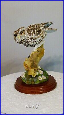 Border fine arts Little owl, Russell Willis, 541737, 18cm, (7.08) tall