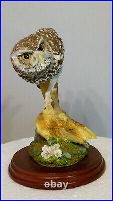 Border fine arts Little owl, Russell Willis, 541737, 18cm, (7.08) tall