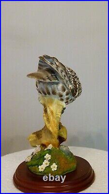 Border fine arts Little owl, Russell Willis, 541737, 18cm, (7.08) tall