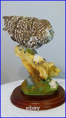 Border fine arts Little owl, Russell Willis, 541737, 18cm, (7.08) tall