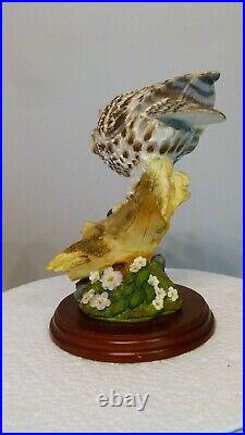 Border fine arts Little owl, Russell Willis, 541737, 18cm, (7.08) tall