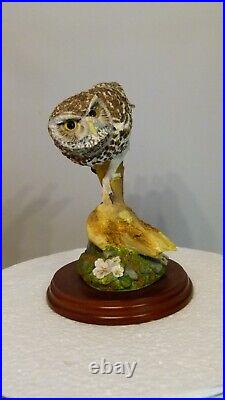 Border fine arts Little owl, Russell Willis, 541737, 18cm, (7.08) tall