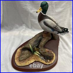 Border fine arts Mallard A0477