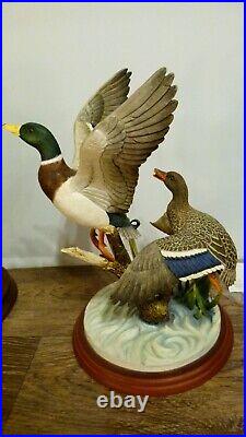 Border fine arts Mallards, A1391 signed RR, (Richard Roberts) 2001, 29cm 11.41