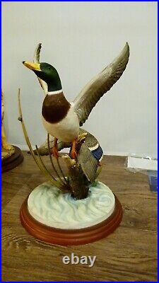 Border fine arts Mallards, A1391 signed RR, (Richard Roberts) 2001, 29cm 11.41