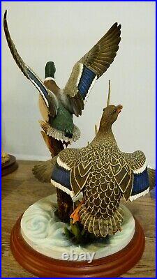 Border fine arts Mallards, A1391 signed RR, (Richard Roberts) 2001, 29cm 11.41