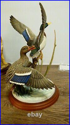 Border fine arts Mallards, A1391 signed RR, (Richard Roberts) 2001, 29cm 11.41